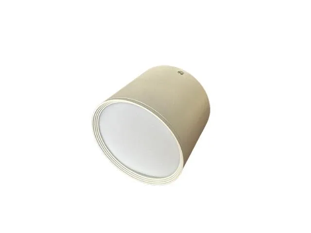 Ceiling Light 2 10W JS-CL10-02